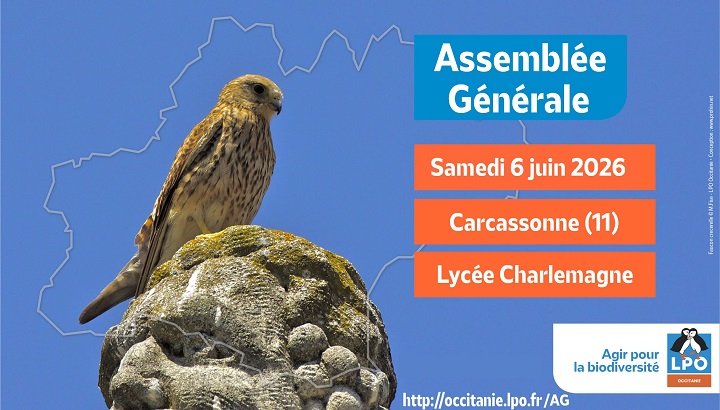 Assemblée Générale régionale ordinaire annuelle LPO Occitanie